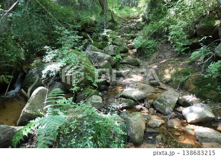 山の中の小さな川 山の中の小さな川 138683215