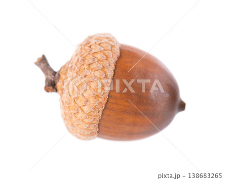 Acorn oak isolated on white background. Ripe brown acorn. Clipping path. 138683265