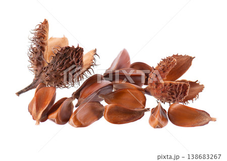 Beechnuts seeds isolated on white background. European beech nuts or Fagus sylvatica. Clipping path. Beechnuts seeds isolated on white background. European beech nuts or Fagus sylvatica. Clipping path. 138683267