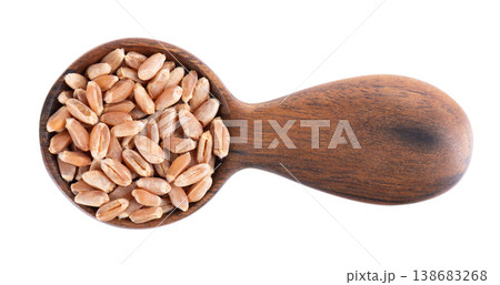 Organic peeled spelt grains isolated on white background. Triticum spelta or dark wheat in wooden spoon. Clipping path. Top view. Organic peeled spelt grains isolated on white background. Triticum spelta or dark wheat in wooden spoon. Clipping path. Top view. 138683268