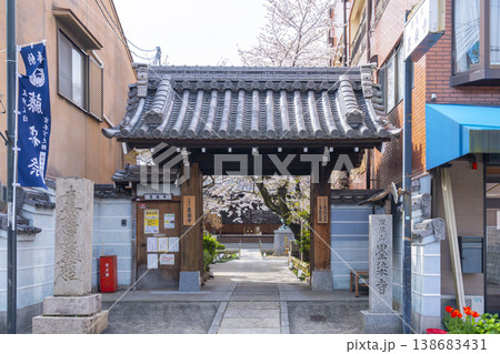 京都　墨染寺　桜 138683431