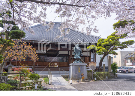 京都 墨染寺 桜 京都 墨染寺 桜 138683433