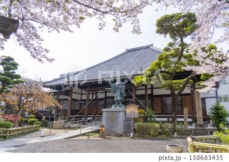 京都 墨染寺 桜 京都 墨染寺 桜 138683435