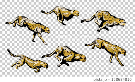 A series of motion images of a cheetah running at full speed (cutout-style silhouette vector). A series of motion images of a cheetah running at full speed (cutout-style silhouette vector). 138684810