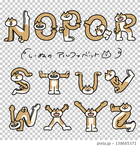 柴犬用身體擺出字母 N-Z 的造型 柴犬用身體擺出字母 N-Z 的造型 138685371