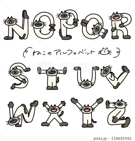 アルファベットを人文字で表現しているシャム猫N〜Z 138685492