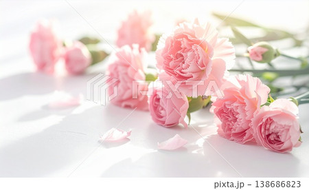 母の日の優しい花背景|カーネーションとバラのパステルカラー素材 母の日の優しい花背景|カーネーションとバラのパステルカラー素材 138686823