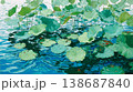 A flat illustration featuring orange, yellow, and white lotus flowers among green lily pads, showcasing a clean, minimalist aesthetic with bold color blocks and soft reflections. 138687840