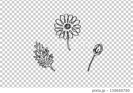 カモミール手描きボタニカルイラストセット モノクロ線画 138688780
