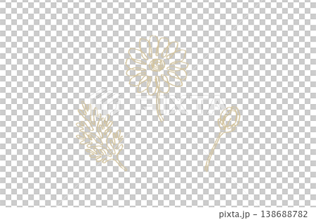 Chamomile Hand-Drawn Botanical Illustration Set (Gold Beige Line Art) Chamomile Hand-Drawn Botanical Illustration Set (Gold Beige Line Art) 138688782