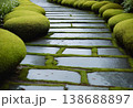 Modern Stone Path through Mossy Garden 138688897