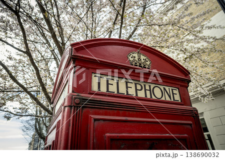 Classic British telephone box under spring blossom 138690032