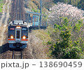 キハ75と桜 138690459
