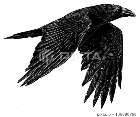 Realistic black crow or raven bird illustration drawing in traditional hand drawn style. Woodcut or Realistic black crow or raven bird illustration drawing in traditional hand drawn style. Woodcut or 138690769