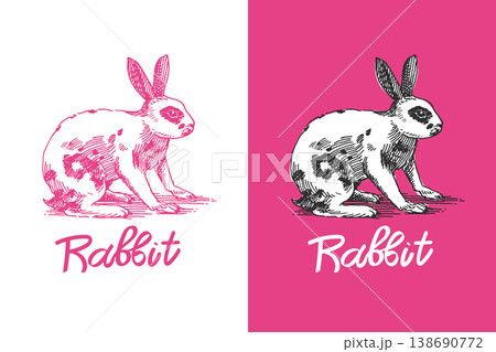 Rabbit or bunny drawing . Hand drawn illustration in traditional line art style. 138690772