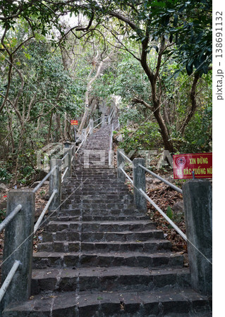 A long stone staircase winds upwards through a lush, green tropical forest with trees and foliage on either side 138691132