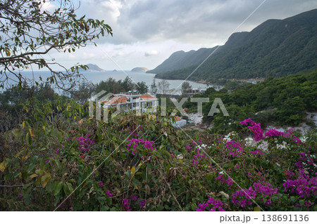 A scenic view of a Vietnamese coastline featuring lush green mountains, a bay, and vibrant bougainvillea flowers in the foreground A scenic view of a Vietnamese coastline featuring lush green mountains, a bay, and vibrant bougainvillea flowers in the foreground 138691136