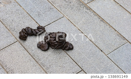 close up of two large pile of cow feces on the tiled pavement which shows urban hygiene and cleanliness concern with copy space close up of two large pile of cow feces on the tiled pavement which shows urban hygiene and cleanliness concern with copy space 138691149
