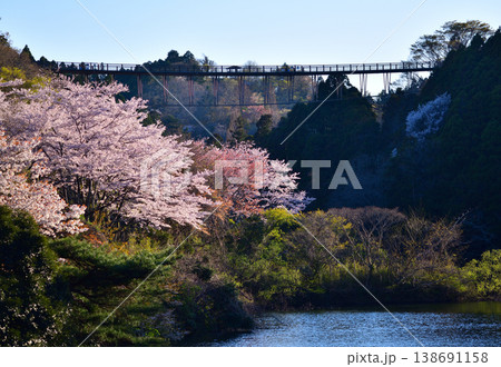 桜のある風景 138691158