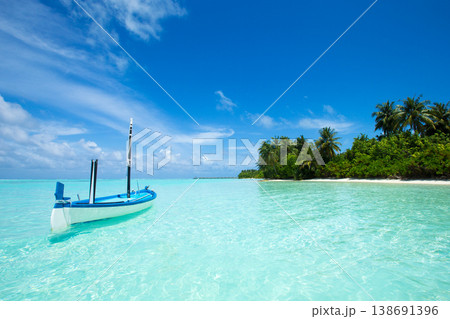 tropical Maldives island with white sandy beach and sea 138691396