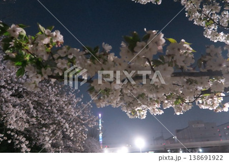 ライトアップされた夜桜とスカイツリー ライトアップされた夜桜とスカイツリー 138691922
