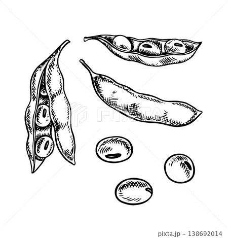 A set of soybeans with pods. Black and white vector graphic illustration. Isolate. Perfect for creating product labels, posters, banners, menus, and more. 138692014