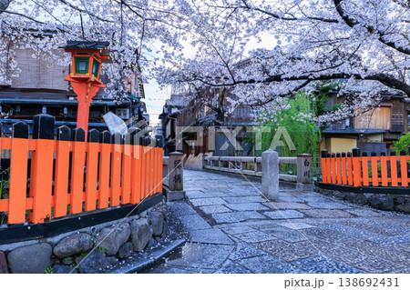 京都祇園白川の巽橋と満開の桜 (京都府京都市東山区) 京都祇園白川の巽橋と満開の桜 (京都府京都市東山区) 138692431