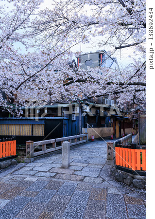 京都祇園白川の巽橋と満開の桜 (京都府京都市東山区) 138692434