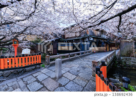 京都祇園白川の巽橋と満開の桜 (京都府京都市東山区) 京都祇園白川の巽橋と満開の桜 (京都府京都市東山区) 138692436