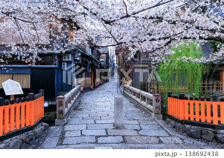 京都祇園白川の巽橋と満開の桜 (京都府京都市東山区) 京都祇園白川の巽橋と満開の桜 (京都府京都市東山区) 138692438