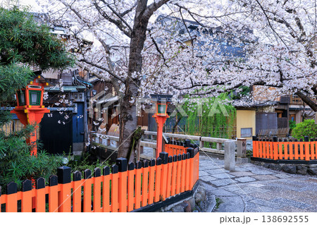 京都祇園白川の巽橋と満開の桜 (京都府京都市東山区) 京都祇園白川の巽橋と満開の桜 (京都府京都市東山区) 138692555