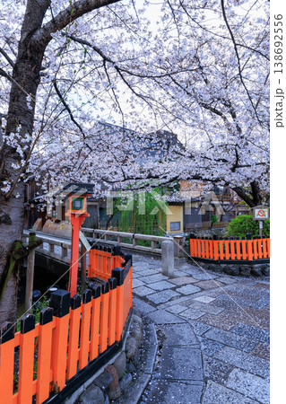 京都祇園白川の巽橋と満開の桜 (京都府京都市東山区) 京都祇園白川の巽橋と満開の桜 (京都府京都市東山区) 138692556
