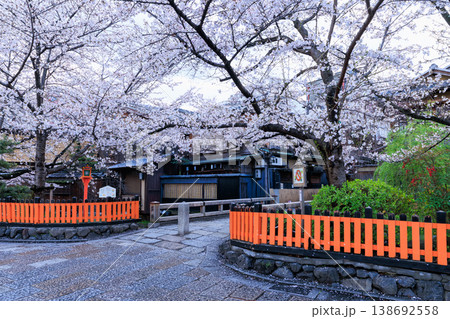 京都祇園白川の巽橋と満開の桜 (京都府京都市東山区) 京都祇園白川の巽橋と満開の桜 (京都府京都市東山区) 138692558