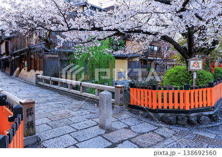 京都祇園白川の巽橋と満開の桜 (京都府京都市東山区) 138692560