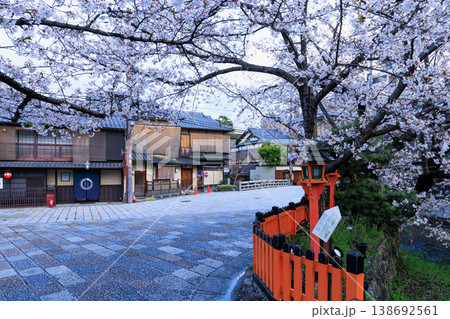 京都祇園新橋の満開の桜 (京都府京都市東山区) 138692561