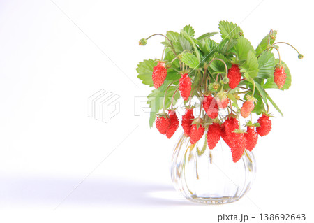いちご 51 花瓶に生けたワイルドストロベリー いちご 51 花瓶に生けたワイルドストロベリー 138692643