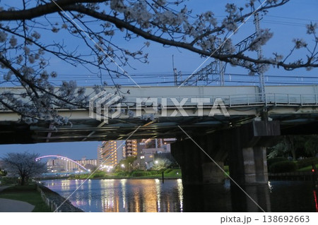 お堀に映る夜桜 お堀に映る夜桜 138692663