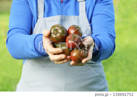 Farmer Holding Freshly Harvested Dark Tomatoes	 138692752