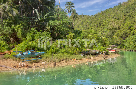 Loboc river, one of the main destinations on Bohol Island, Philippines. 138692900