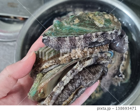 high quality fresh raw abalone high quality fresh raw abalone 138693471