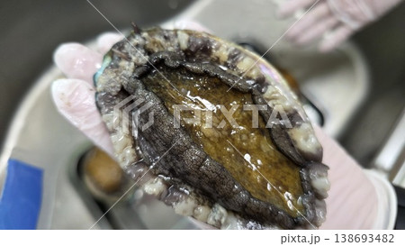 high quality fresh raw abalone 138693482