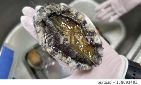 high quality fresh raw abalone 138693483
