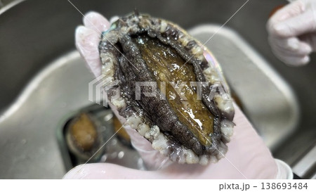 high quality fresh raw abalone 138693484