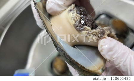 high quality fresh raw abalone high quality fresh raw abalone 138693486