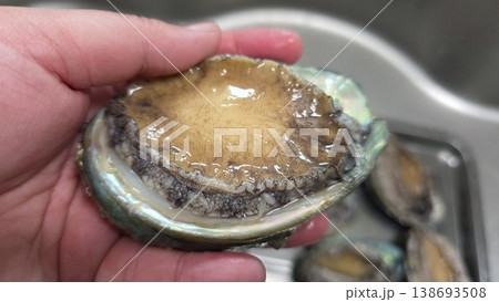 high quality fresh raw abalone high quality fresh raw abalone 138693508