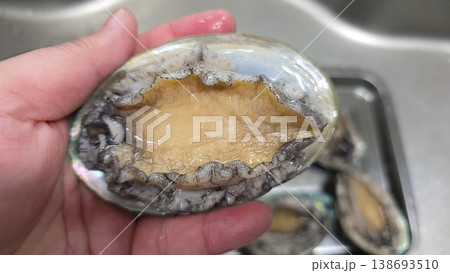 high quality fresh raw abalone high quality fresh raw abalone 138693510