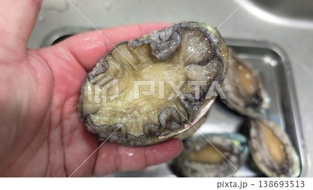 high quality fresh raw abalone 138693513
