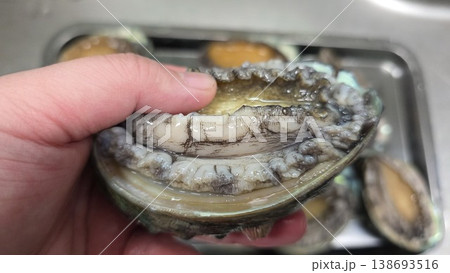 high quality fresh raw abalone high quality fresh raw abalone 138693516