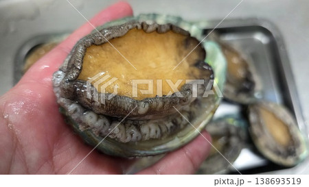 high quality fresh raw abalone high quality fresh raw abalone 138693519