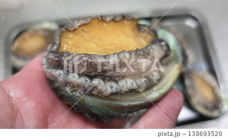high quality fresh raw abalone high quality fresh raw abalone 138693520